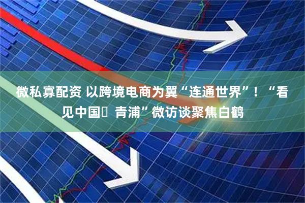 微私寡配资 以跨境电商为翼“连通世界”！“看见中国・青浦”微访谈聚焦白鹤