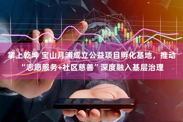 掌上乾坤 宝山月浦成立公益项目孵化基地，推动“志愿服务+社区慈善”深度融入基层治理