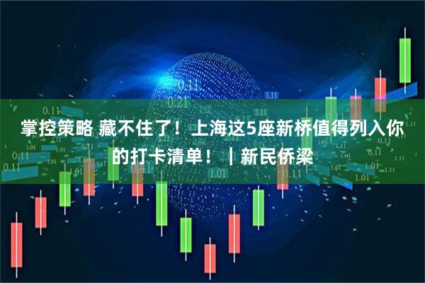 掌控策略 藏不住了！上海这5座新桥值得列入你的打卡清单！｜新民侨梁